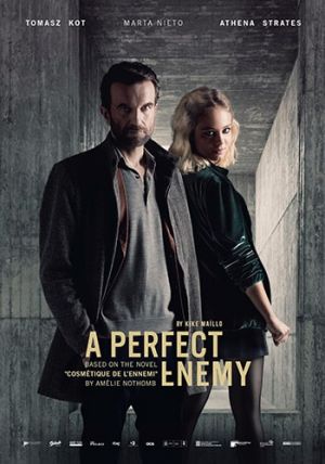 A Perfect Enemy