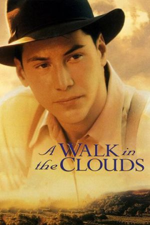 A Walk in the Clouds
