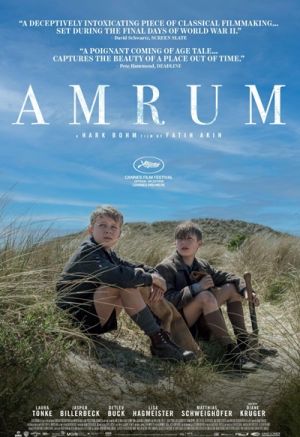 Amrum