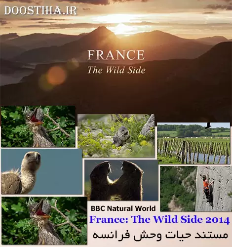 BBC Natural World France The Wild Side