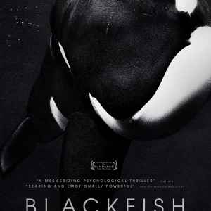 Blackfish