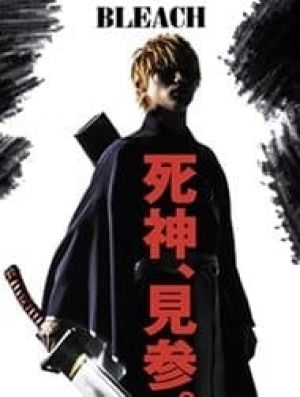 Bleach