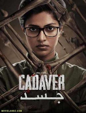 Cadaver