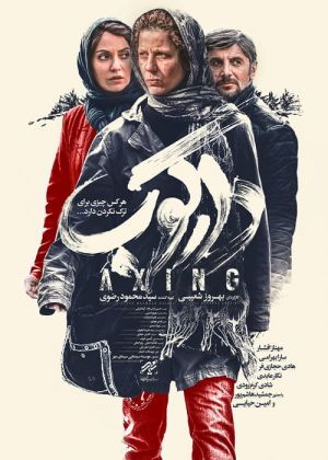 دارکوب