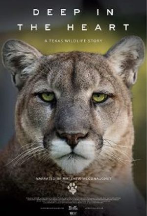 Deep in the Heart A Texas Wildlife Story
