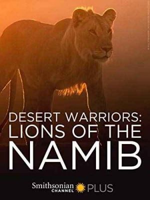 Desert Warriors Lions of the Namib