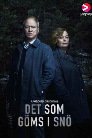Det som goms i sno