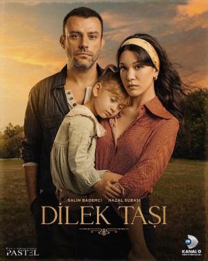 Dilek Tasi