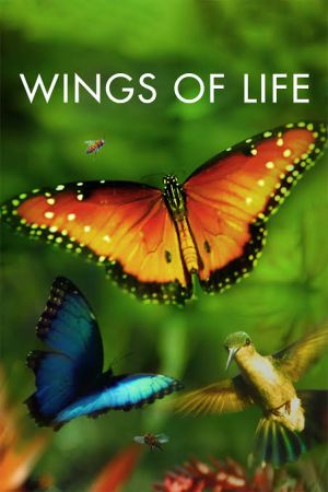 Disneynature Wings of Life