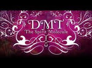 DMT The Spirit Molecule