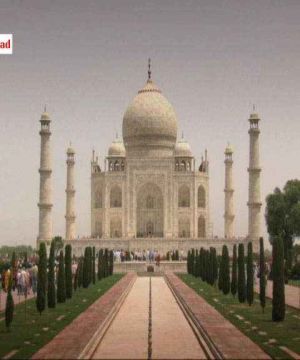 Great India