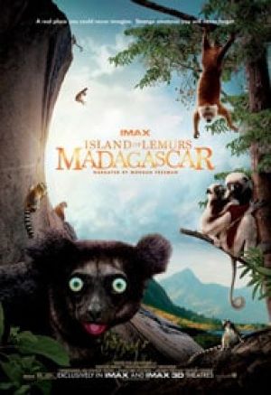 Island of Lemurs Madagascar