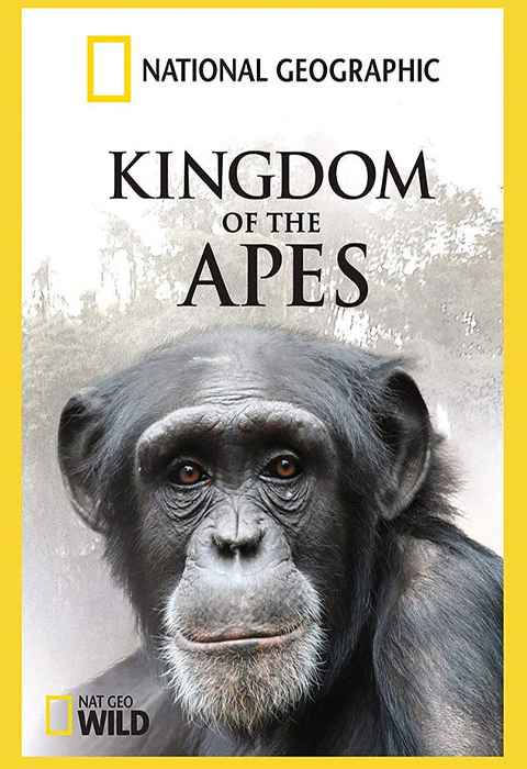 Kingdom of the Apes Battle Lines