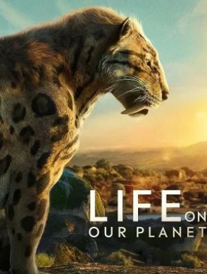 Life on Our Planet