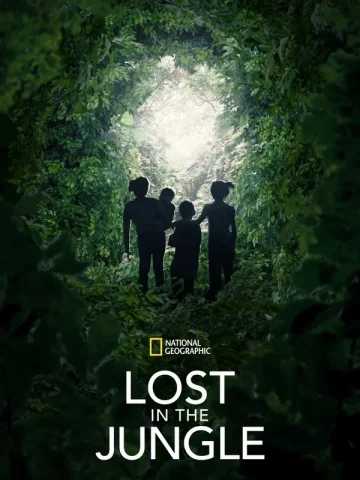 Lost in the Jungle