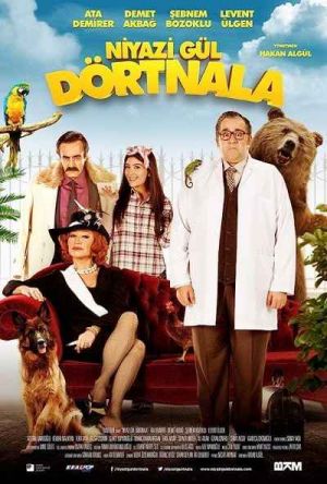 Niyazi Gul Dortnala