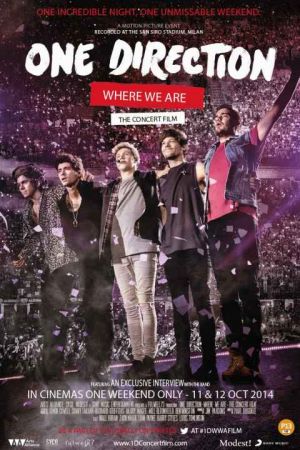 One Direction This Is Us