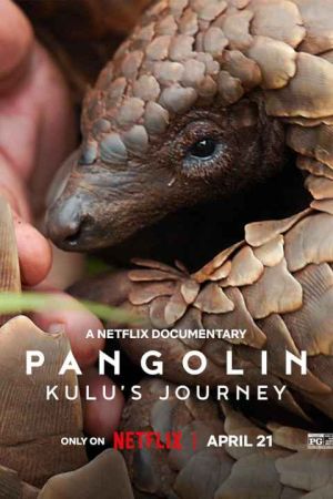 Pangolin Kulus Journey