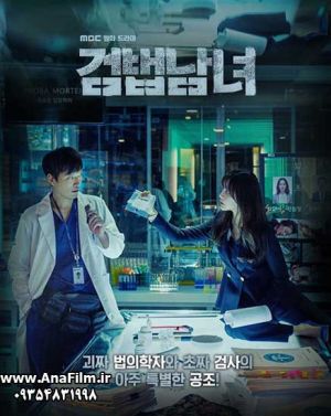 Investigation Partners