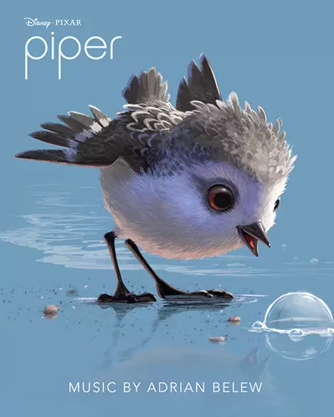 Piper