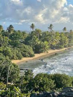 Puerto Rico Island of Enchantment