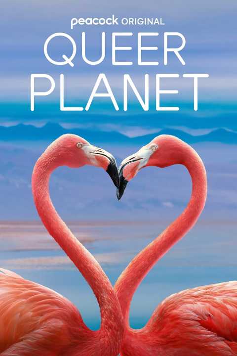 Queer Planet
