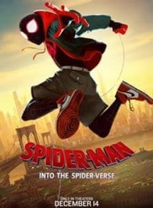 spider man into the spider verse