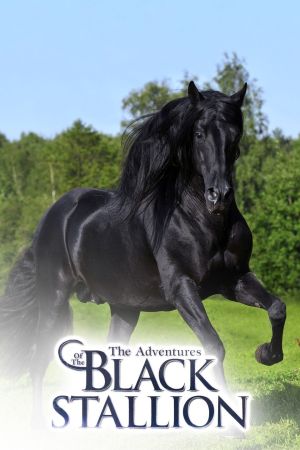 The New Adventures of the Black Stallion