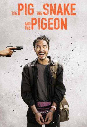 The Pig, the Snake and the Pigeon