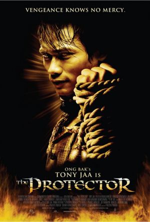 The Protector 1