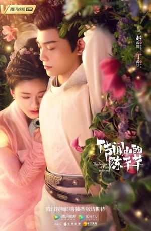 The Romance of Tiger and Rose