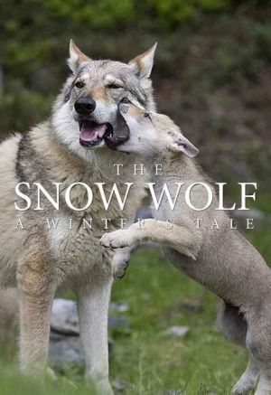 The Snow Wolf A Winters Tale