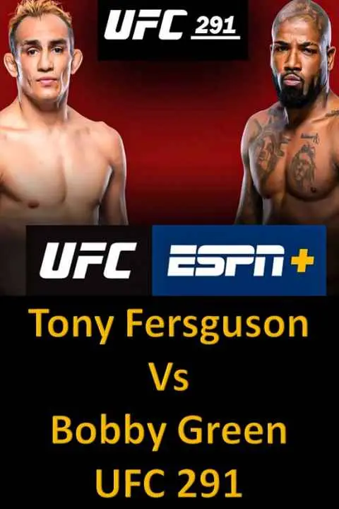 UFC 291