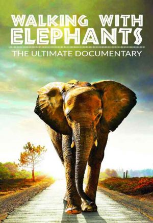 Walking with Elephants