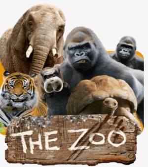 Wildlife In The Zoo