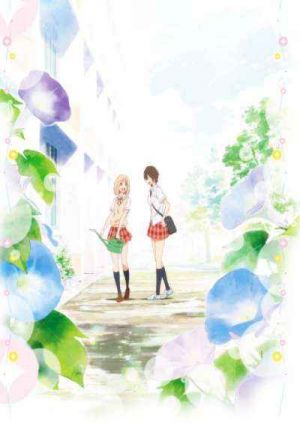 Your Light Kase san and Morning Glories