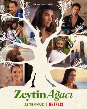 Zeytin Agaci